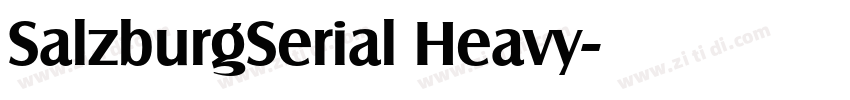SalzburgSerial Heavy字体转换